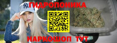 прущие грибы Моздок