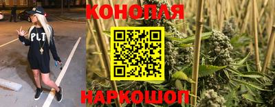 прущие грибы Моздок