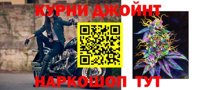 прущие грибы Моздок