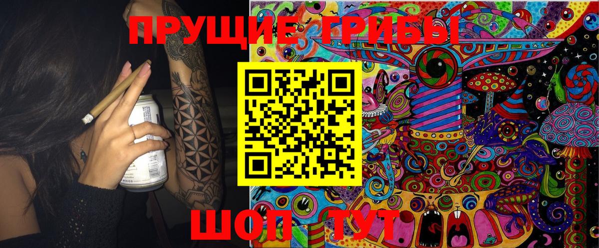 Псилоцибиновые грибы Psilocybine cubensis  Вход с VPN  Городец 
