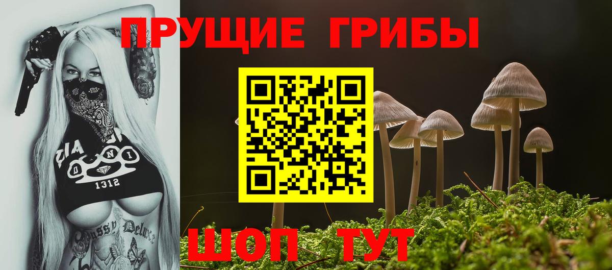 Галлюциногенные грибы MAGIC MUSHROOMS Городец